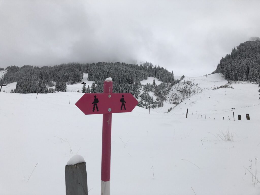 Pinkfarbener Wegweiser eines Winterwanderwegs auf dem Springenboden im Diemtigtal