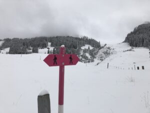 Pinkfarbener Wegweiser eines Winterwanderwegs auf dem Springenboden im Diemtigtal