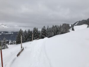 Präparierter Winterwanderweg auf dem Springenboden mit Schneestangen und frischer Spur