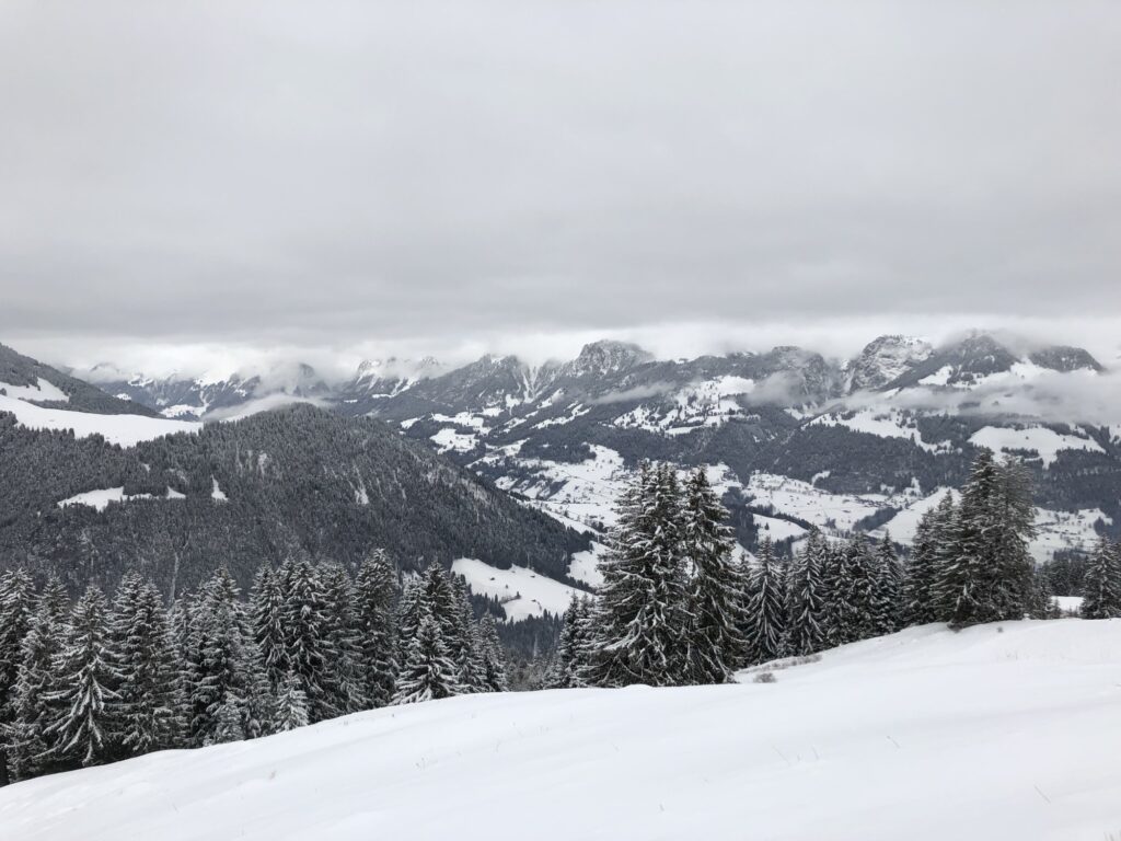 Panorama beim Winterwandern auf dem Springenboden mit Blick Richtung Simmental