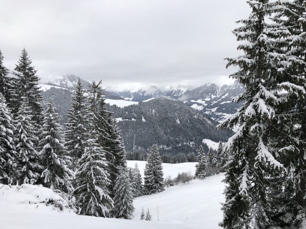 Aussicht vom Winterwanderweg Springenboden über das Diemtigtal und die verschneite Berglandschaft