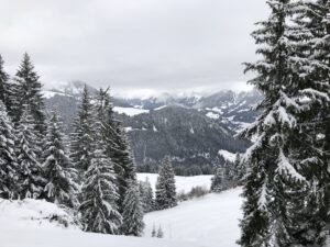 Aussicht vom Winterwanderweg Springenboden über das Diemtigtal und die verschneite Berglandschaft