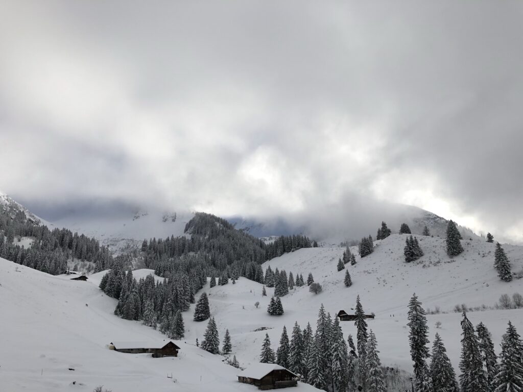 Weite Winterlandschaft im Naturpark Diemtigtal mit verschneiten Alphütten und Bergen im Hintergrund