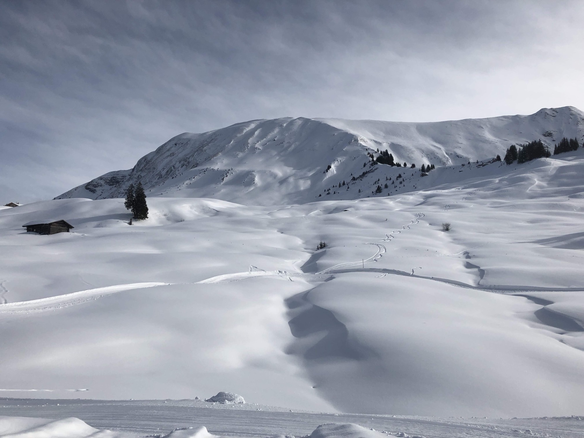 Weite Schneelandschaft auf der Lombachalp mit Blick auf verschneite Berghänge