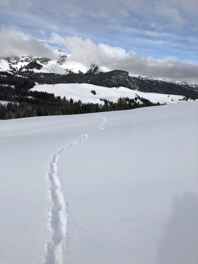 Spur im frischen Schnee auf der Lombachalp mit weiter Winterlandschaft und Bergen im Hintergrund