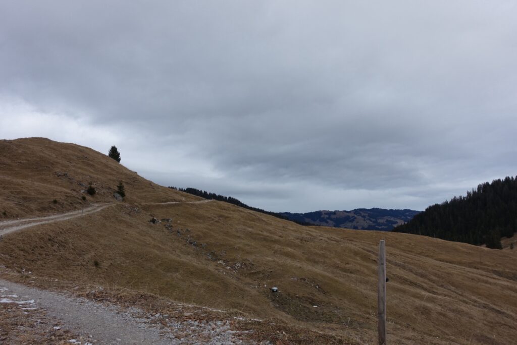 Weite Hügellandschaft im Naturpark Gantrisch bei der Winterwanderung Schwarzsee – Hohberg unter grauem Winterhimmel