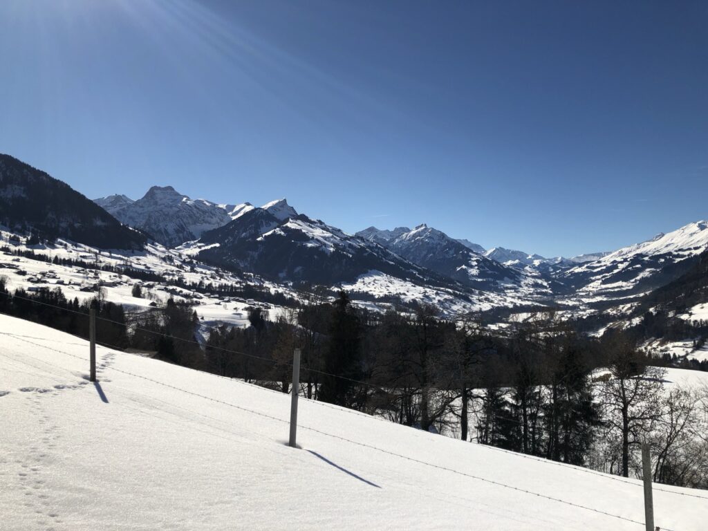 Panorama beim Winterwandern in Aeschiried mit Blick über das Frutigtal und die Berner Alpen