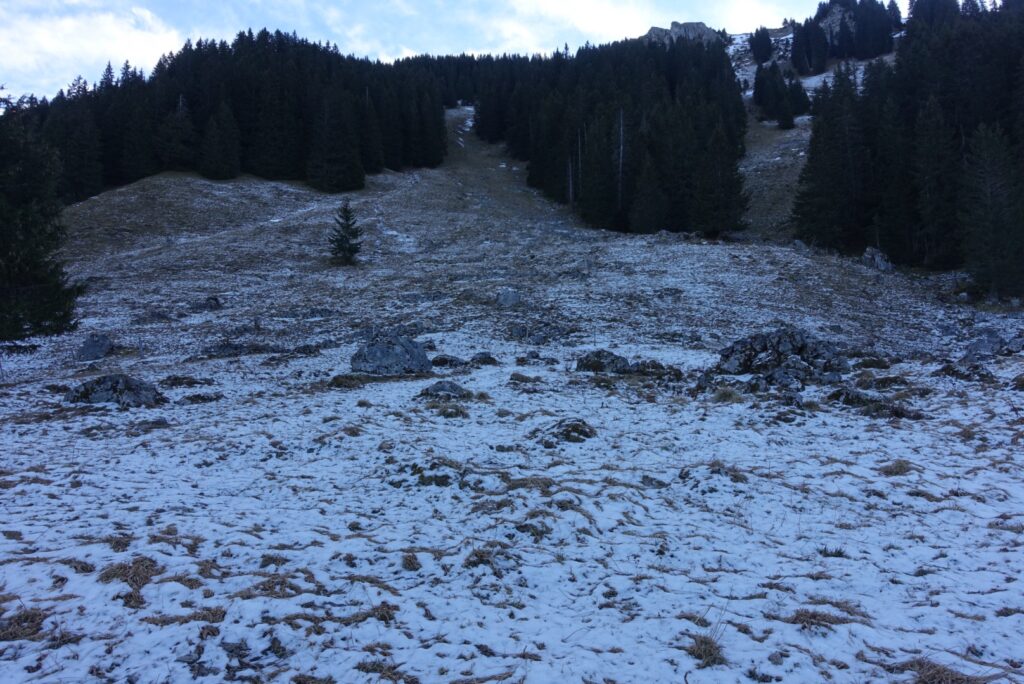 Offene Alpflächen oberhalb des Schwarzsees im Winter mit vereinzelten Schneefeldern und dunklem Nadelwald im Hintergrund