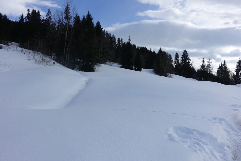 Breiter Winterwanderweg durch offene Schneelandschaft im Saanenland mit Blick auf die umliegende Bergwelt