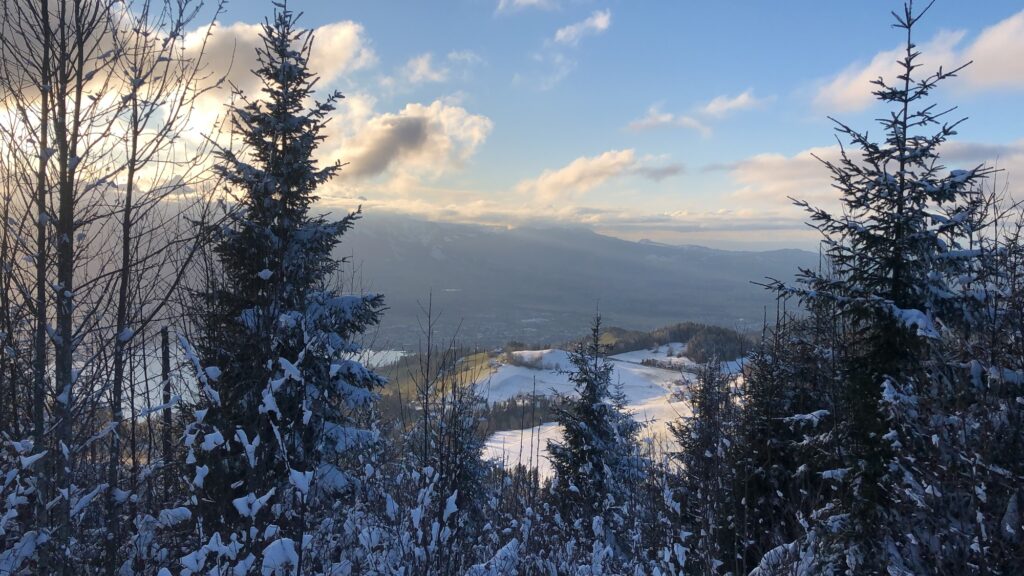 Blick durch verschneite Bäume ins Tal bei Heiligenschwendi – Winterstimmung auf dem Weg zum Aussichtsturm Blueme