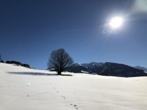 Winterlandschaft bei Aeschiried mit Sonnenschein, Schnee und weiter Aussicht ins Berner Oberland