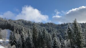 Winterliches Panorama oberhalb von Heiligenschwendi mit verschneiten Wäldern – Aussicht entlang der Winterwanderung Blueme