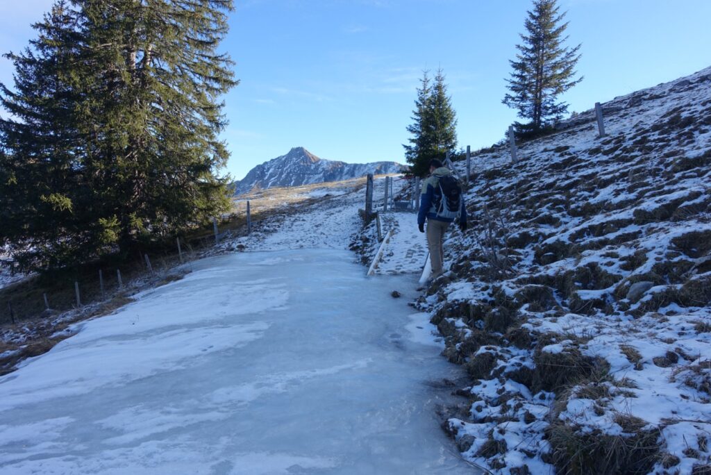 Vereister Winterwanderweg oberhalb des Schwarzsees auf dem Weg Richtung Hohberg, rutschige Bedingungen sichtbar