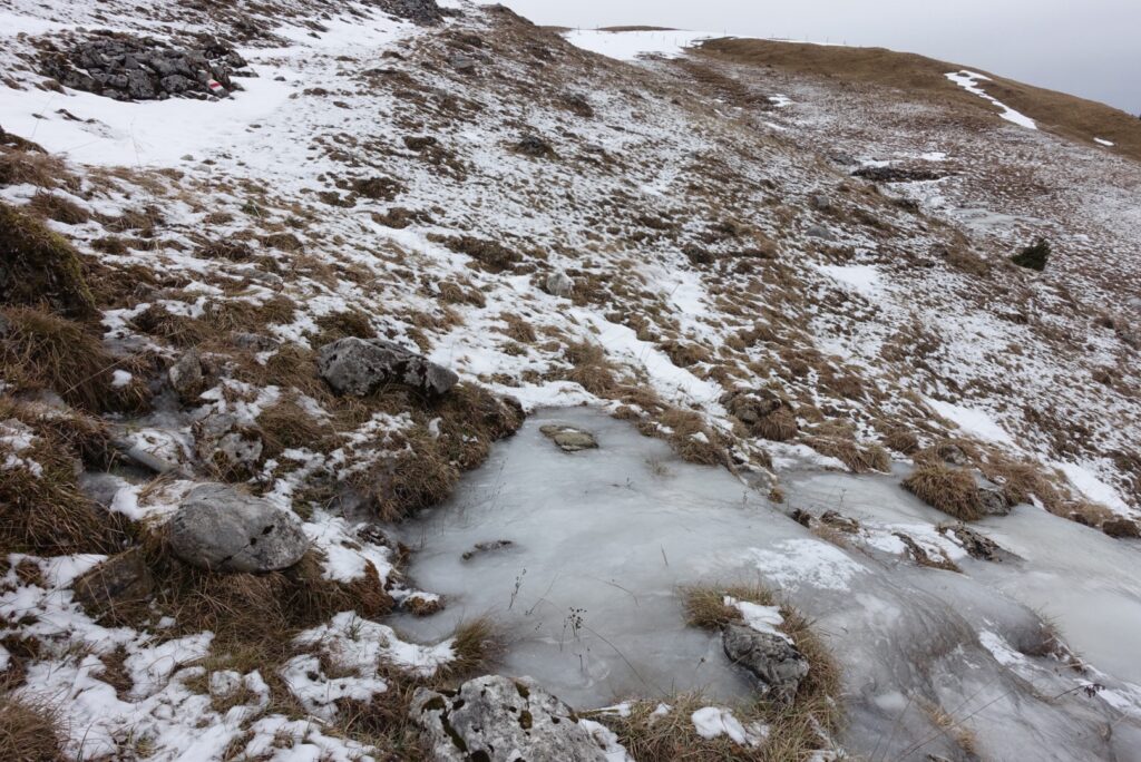 Vereiste Wasserstellen und schneebedeckter Untergrund entlang der Winterwanderung Schwarzsee – Hohberg