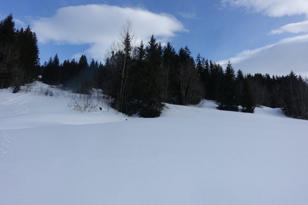 Ruhige Winterlandschaft bei Schönried mit unberührtem Schnee und Waldrand entlang des Winterwanderwegs