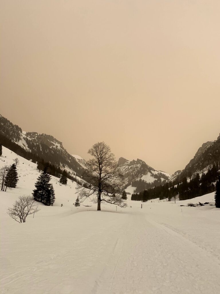 Winterliche Weitlandschaft im Justistal mit einzelnem Baum, Schneeebene und umliegenden Bergen im Berner Oberland.