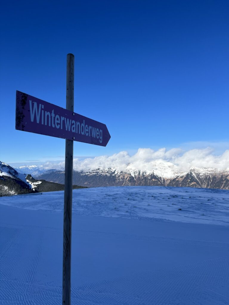 Winterwanderweg-Signalisation auf der Axalp mit verschneiter Landschaft und Blick auf die Berner Alpen