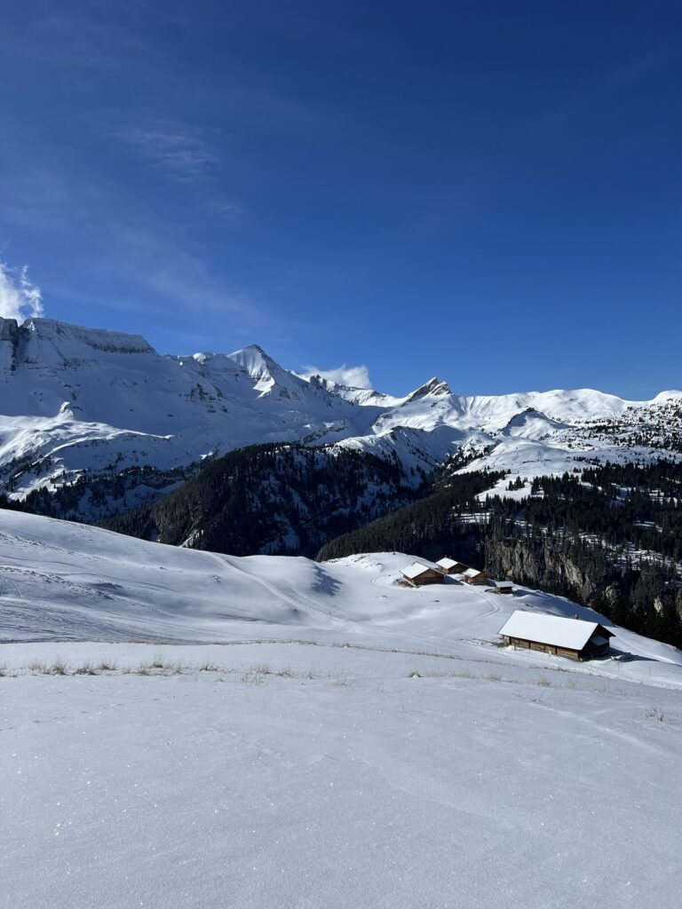Winterpanorama auf der Axalp mit Alphütten und Blick auf die verschneiten Berge