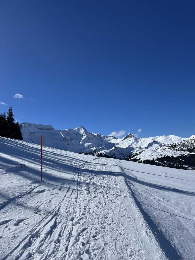 Winterwanderweg auf der Axalp mit Blick auf die verschneiten Gipfel des Berner Oberlands