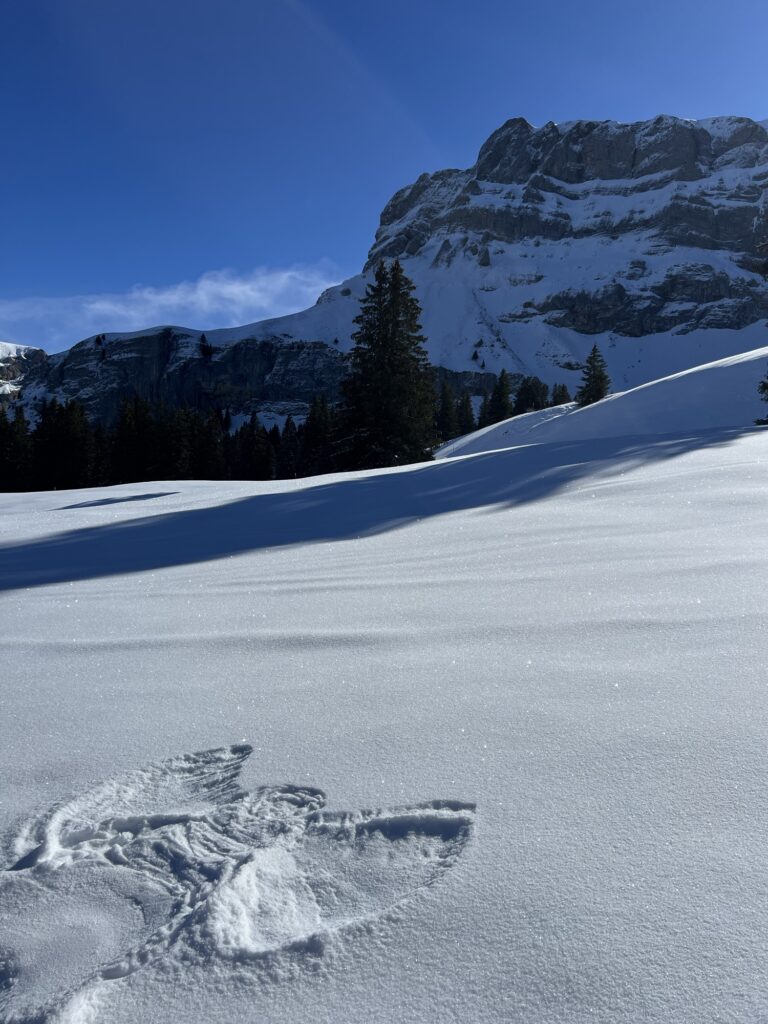 Verschneite Hänge und Felsen entlang der Winterwanderung Axalp im Berner Oberland