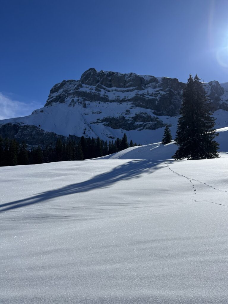 Verschneite Landschaft auf der Axalp mit markanter Felswand und ruhiger Winterstimmung