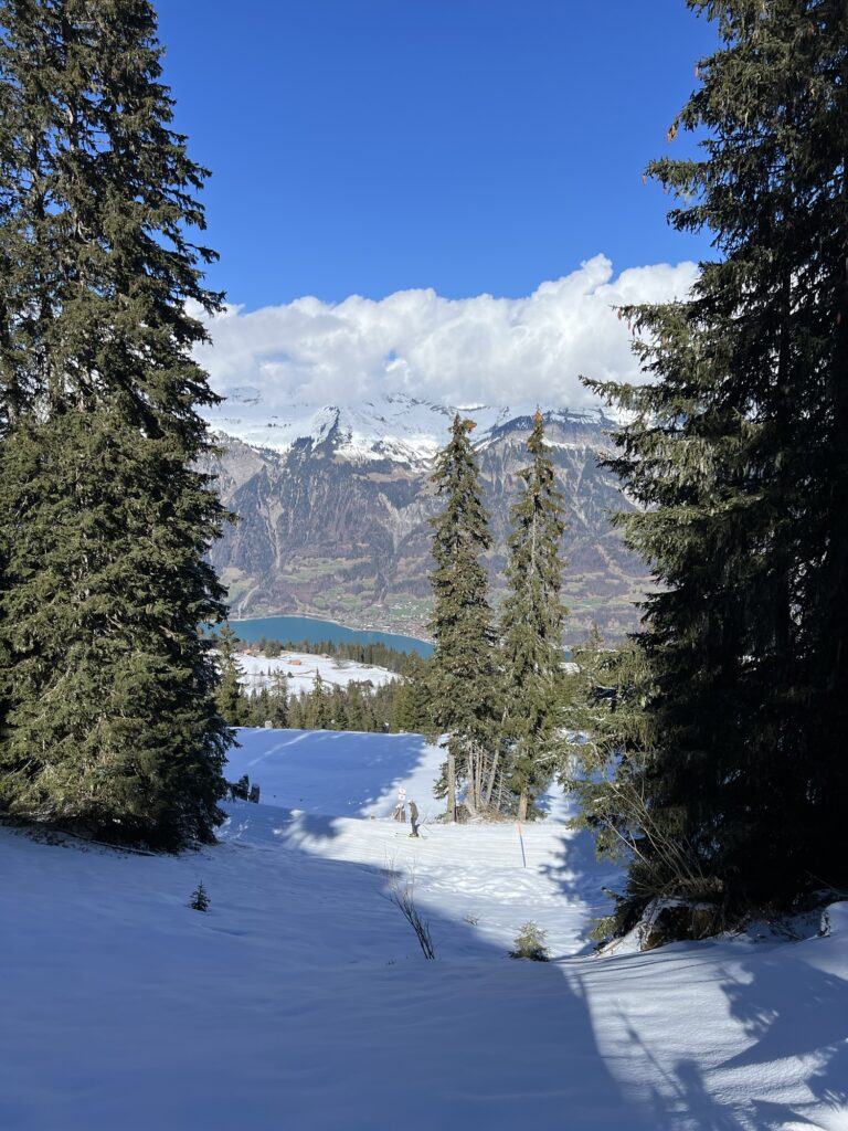 Blick vom Winterwanderweg Axalp durch den Wald auf den Brienzersee im Tal
