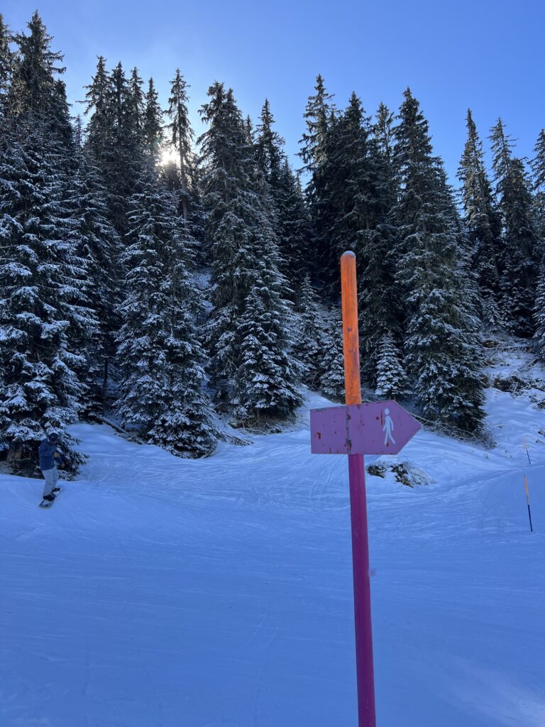 Winterwanderweg im verschneiten Nadelwald in den Schweizer Alpen, pinker Wegweiser für Winterwanderer bei Sonnenschein