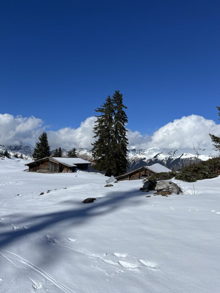 Alphütten auf der Axalp im Winter mit verschneiter Landschaft und Bergpanorama