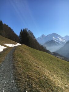 Winterlicher Waldabschnitt auf dem Panoramaweg Hasliberg mit Blick auf die schneebedeckten Berge