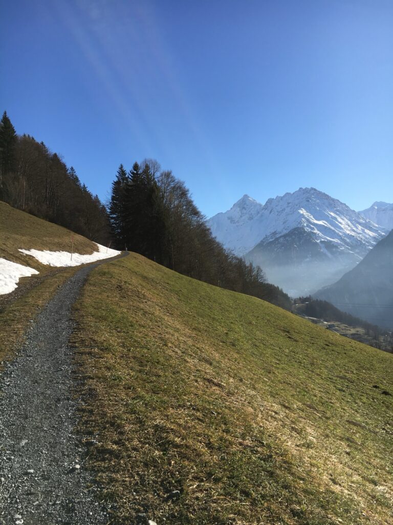 Winterlicher Waldabschnitt auf dem Panoramaweg Hasliberg mit Blick auf die schneebedeckten Berge