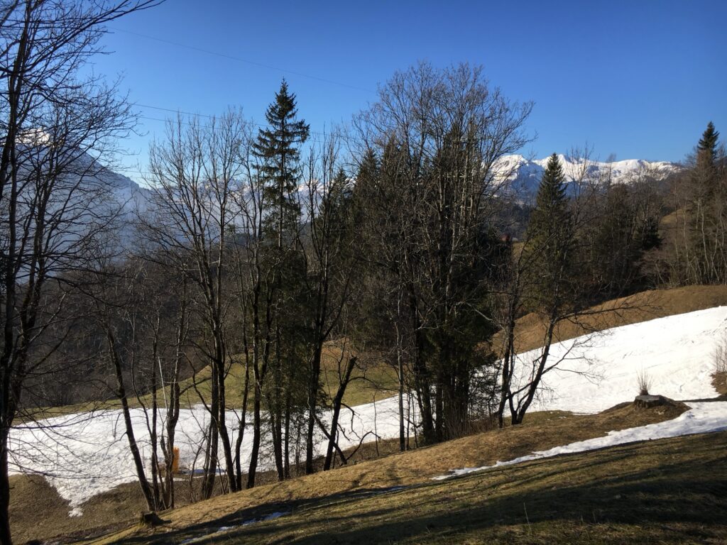 Winterlicher Waldabschnitt auf dem Panoramaweg Hasliberg mit Blick auf die schneebedeckten Berge