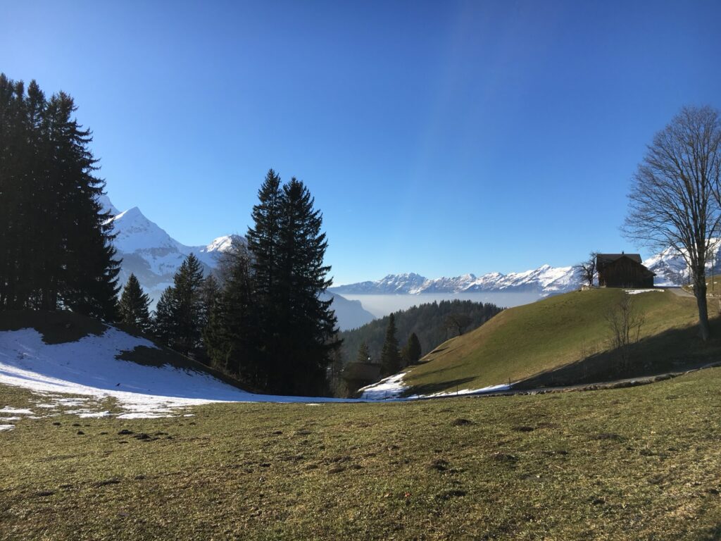 Blick vom Panoramaweg Hasliberg auf offene Winterwiesen, Wald und die umliegenden Alpen