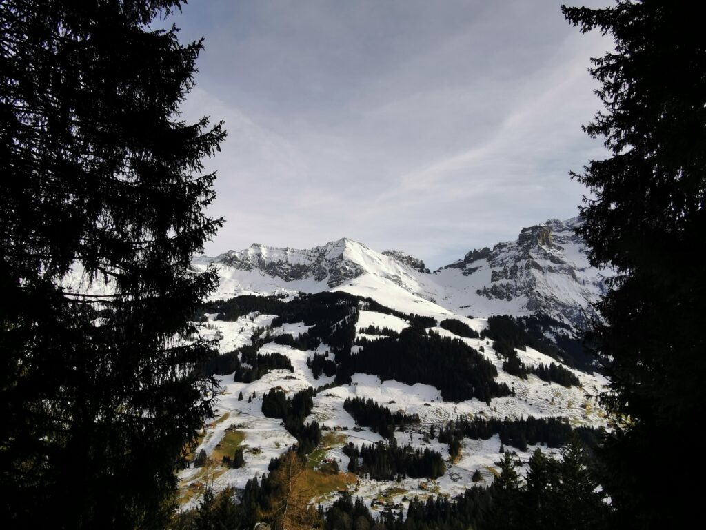 Gerahmter Blick durch Tannen auf die Winterlandschaft und Berge oberhalb von Adelboden