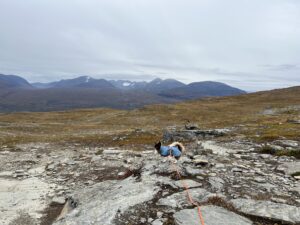 Hund steht angeleint in karger Berglandschaft – Wandern mit Hund im Hochgebirge