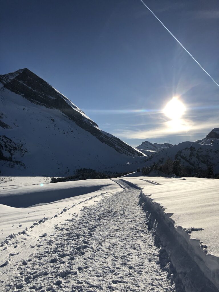 Präparierter Winterwanderweg durch tief verschneite Alpenlandschaft mit Sonne und klarer Fernsicht