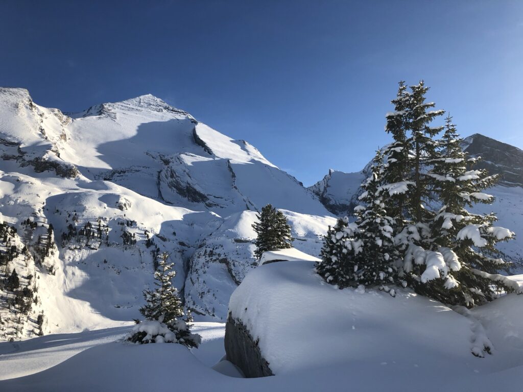 Verschneite Alpen mit Tannen und Felsformationen bei klarem Winterwetter in den Schweizer Bergen