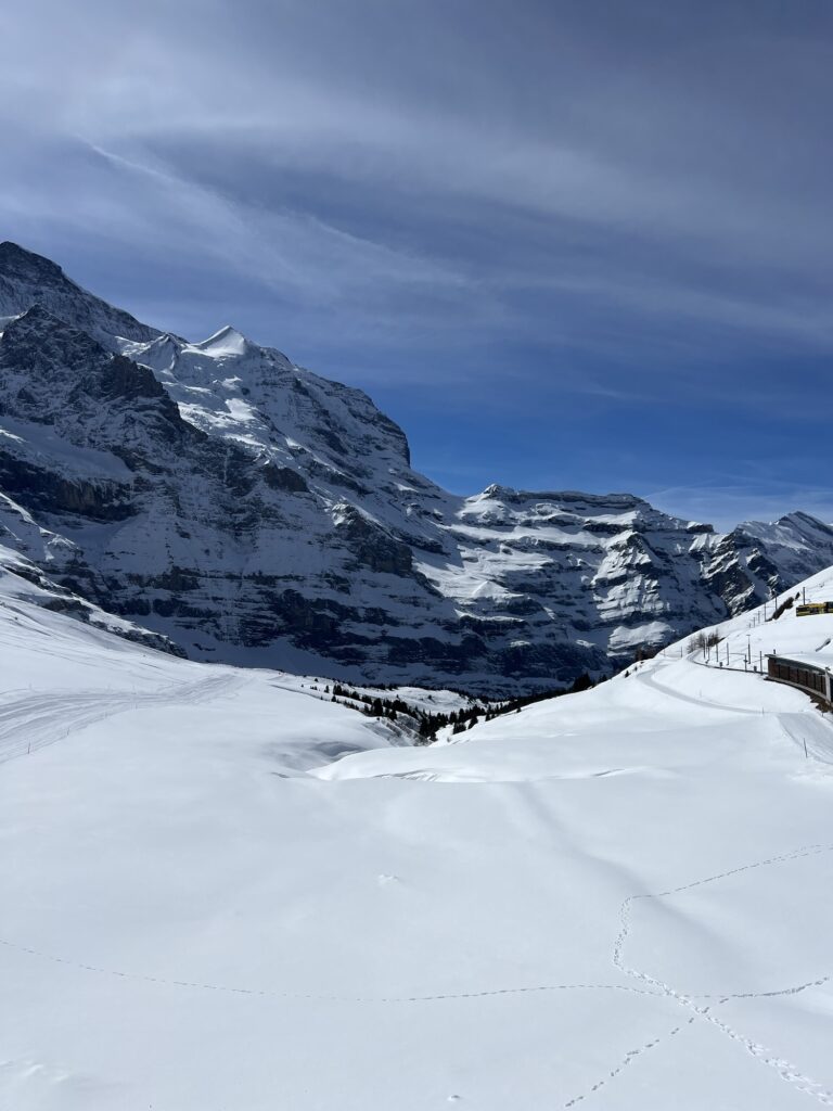 Weite, verschneite Hochalpenlandschaft beim Winterwandern im Berner Oberland nahe der Kleinen Scheidegg.