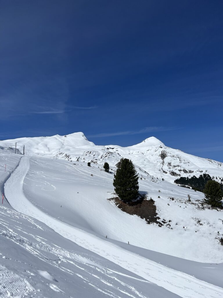 Präparierter Winterwanderweg oberhalb der Kleinen Scheidegg mit verschneiten Hügeln und tiefblauem Himmel.