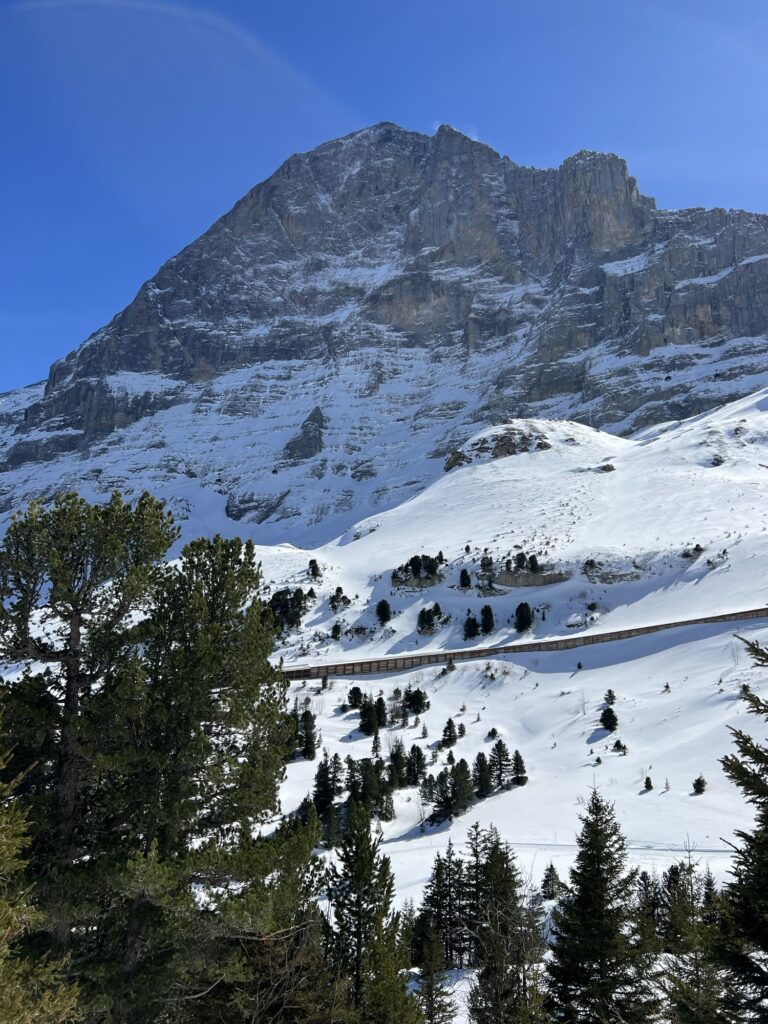 Majestätische Eigernordwand über verschneiten Wäldern entlang der Winterwanderung Richtung Alpiglen.
