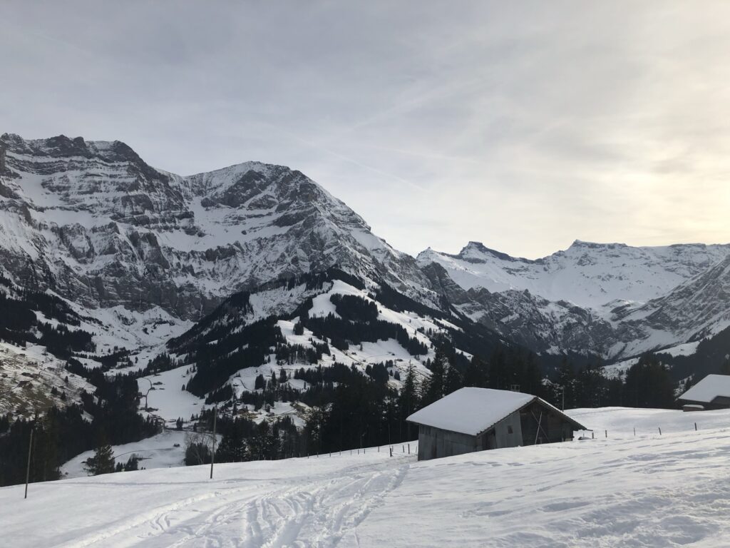Aussicht über Adelboden mit Dorf, Chalets und schneebedeckten Bergen im Hintergrund