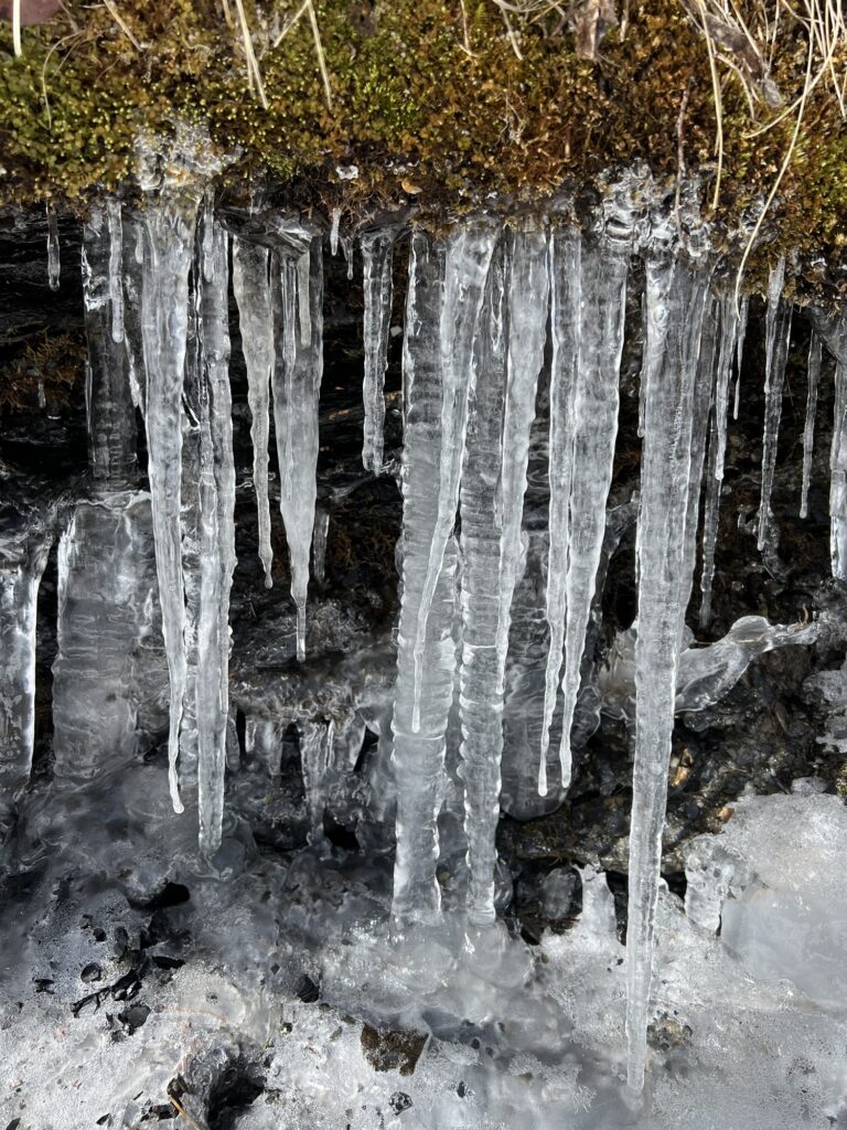 Eiszapfen an einem gefrorenen Felsen entlang des Winterwanderwegs bei der Kleinen Scheidegg im Berner Oberland.
