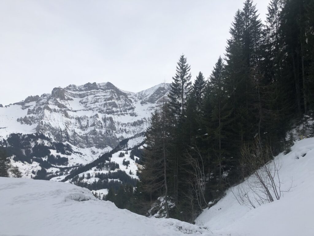Winterliche Berglandschaft oberhalb von Adelboden mit verschneiten Hängen und Blick auf die umliegenden Gipfel