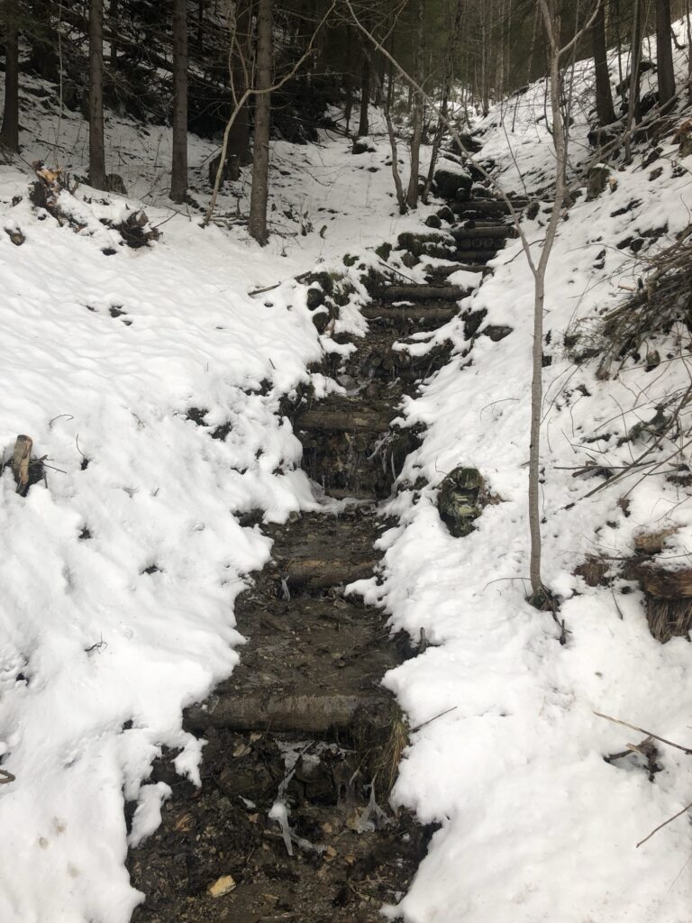 Schmaler, verschneiter Pfad mit Holzstufen im Winterwald auf dem Hörelirundweg bei Adelboden