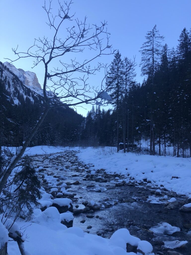 Ruhiger Winterweg entlang eines Bachs bei Rosenlaui mit verschneiten Ufern