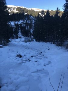 Vereister Bachlauf entlang der Winterwanderung zwischen Zwirgi und Rosenlaui im Haslital