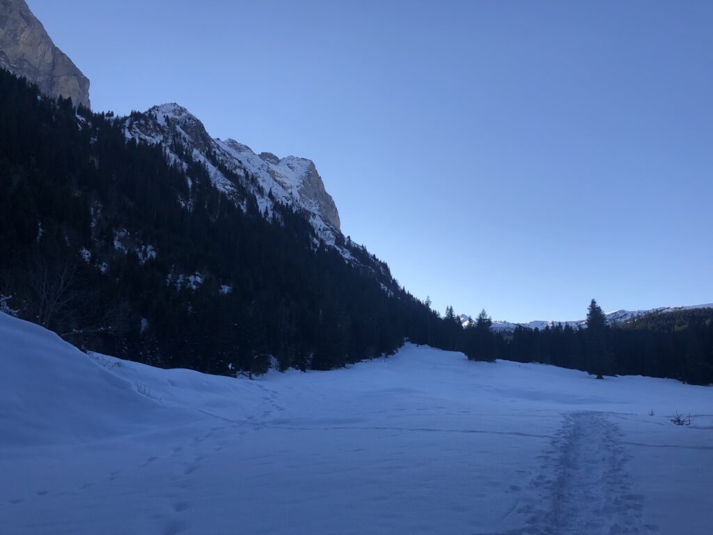 Winterlandschaft im Haslital mit verschneiten Wiesen und Blick Richtung Schwarzwaldalp