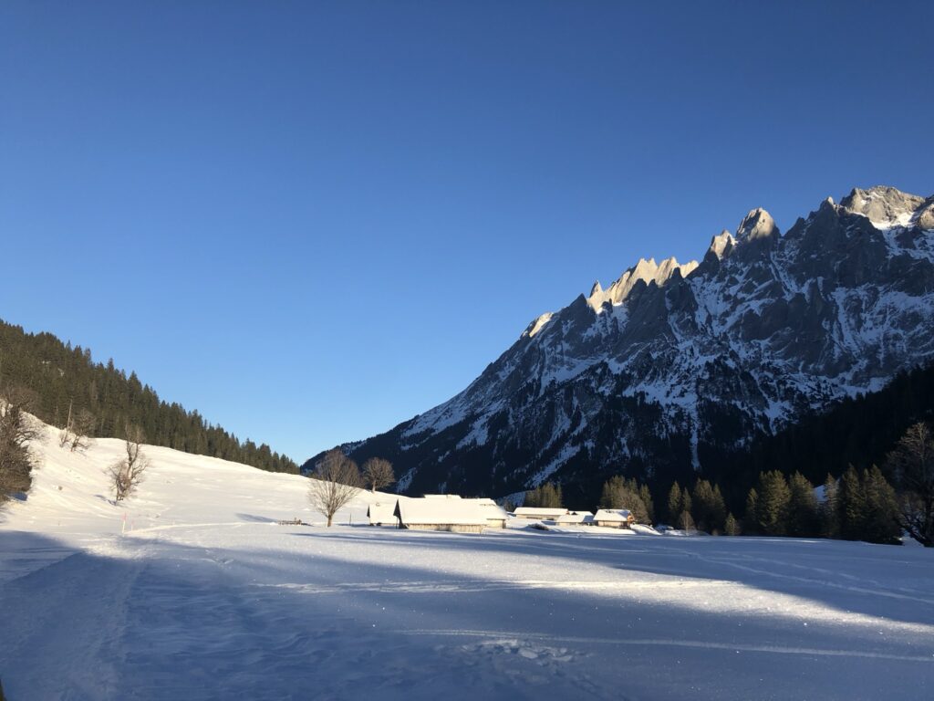 Blick auf verschneite Hänge und Wälder oberhalb von Rosenlaui im Haslital