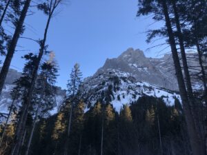 Blick durch den winterlichen Wald auf die Berge rund um Rosenlaui