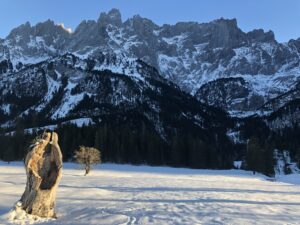 Winterliche Alpenlandschaft im Haslital mit schroffen Felsen und verschneiten Wäldern
