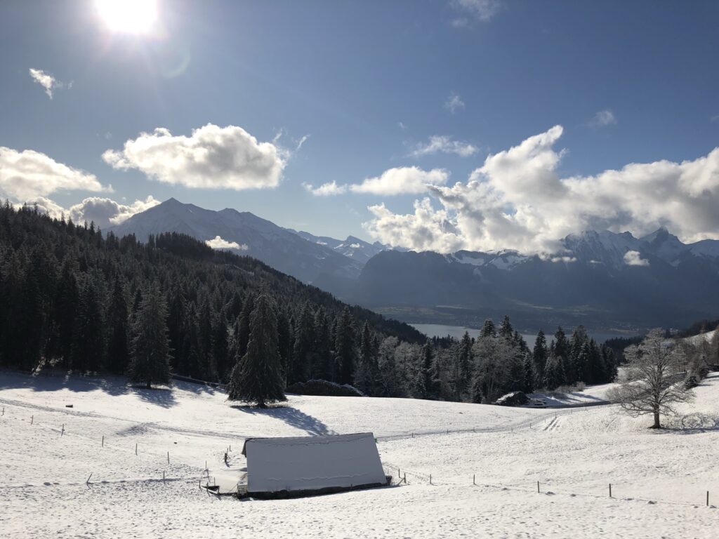 Winterlandschaft oberhalb von Heiligenschwendi mit Blick Richtung Thunersee und verschneiten Hügeln – Winterwanderung zur Blueme